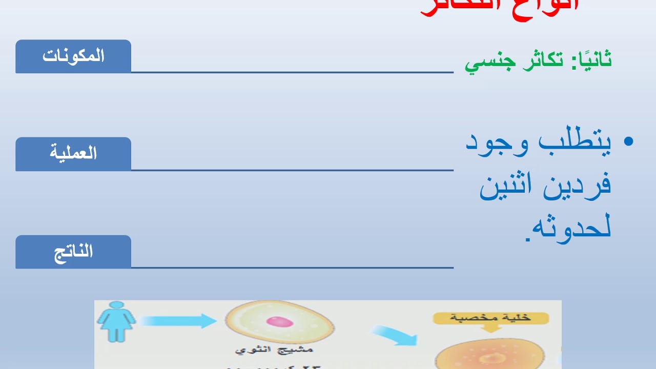 تسمى عملية انقسام النواة إلى نواتين متماثلتين