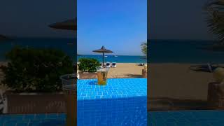 That Summer Feeling 😍🌴🌻 #summer #travel #beach #island #paradise #vacation #cocktails #pool #beer