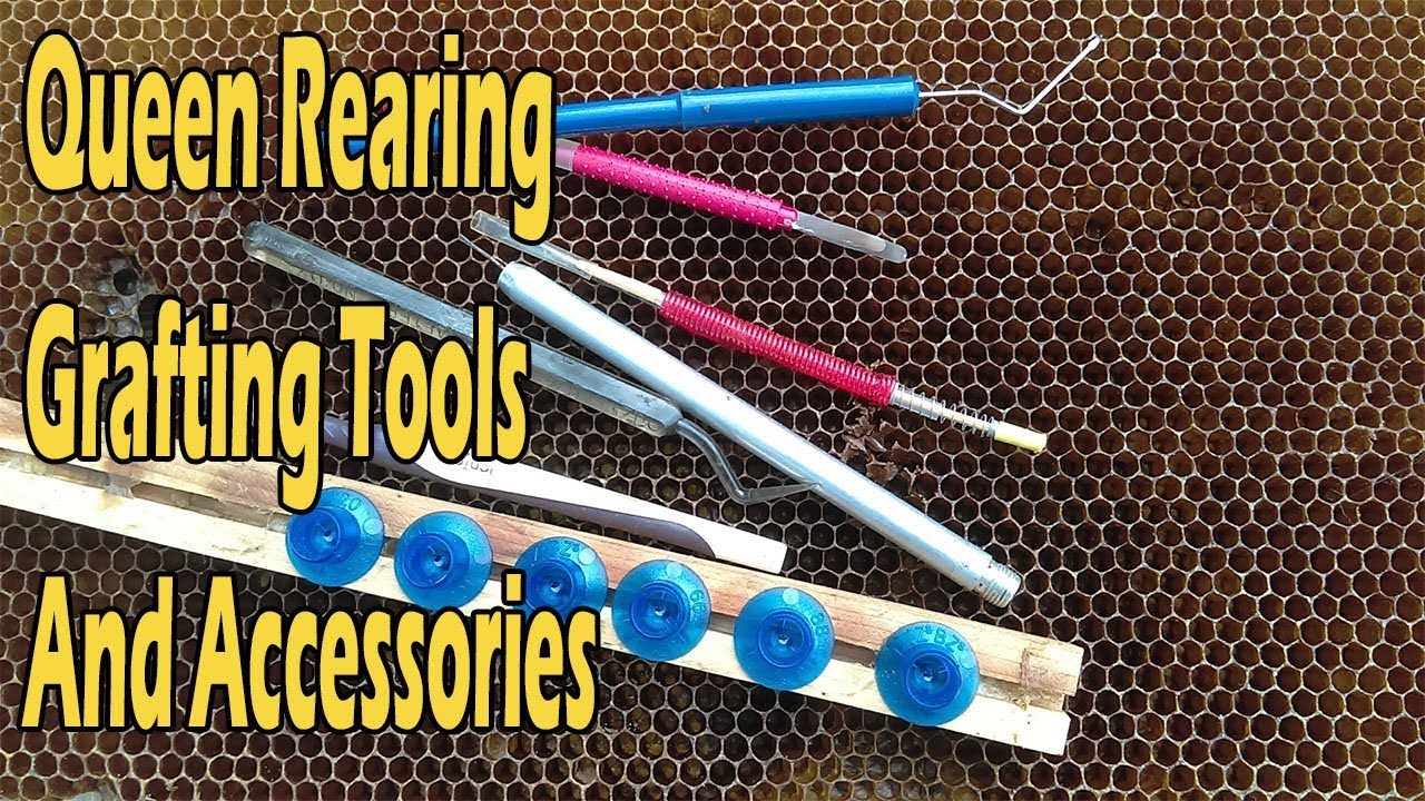 Stainless Steel Double Head Grafting Tools For Beekeepers Rearing Queen Bee B$ 