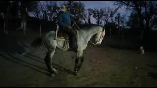 cuadra beltran de bacobampo sonora