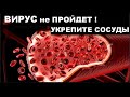 ВИРУС не пробьет БРОНЮ , укрепите свои сосуды ...