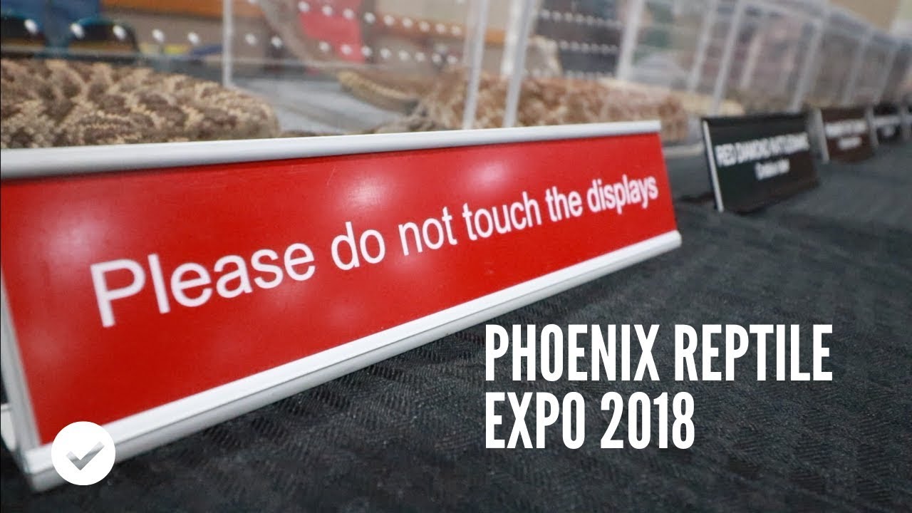 Phoenix Reptile Expo 2018!! - YouTube