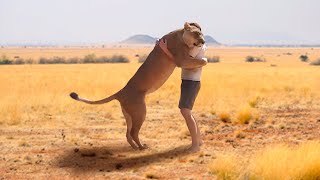 Most Heartwarming Animal Reunion With Owners After Years