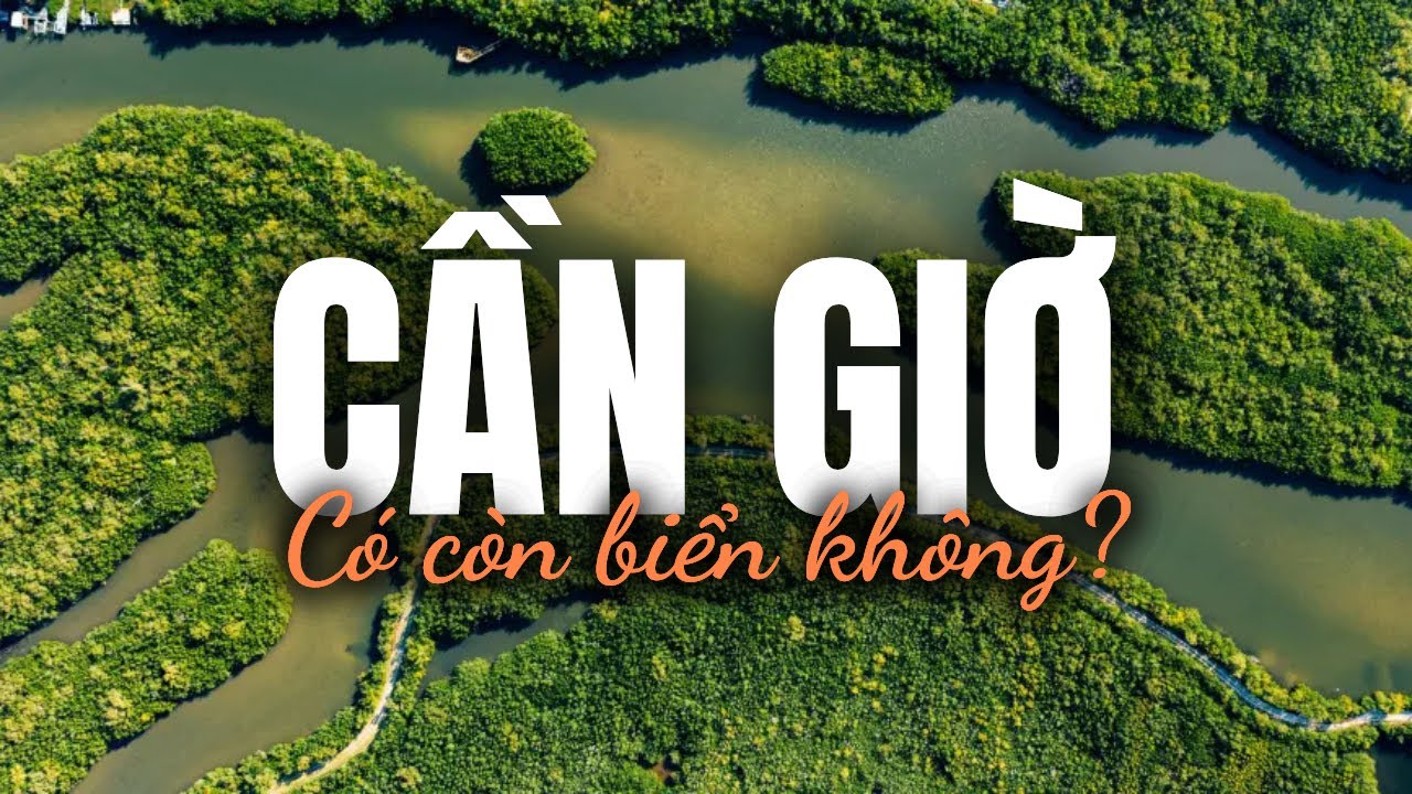 Du lịch Cần Giờ | Rừng Sác, Đảo Khỉ, Hải Sản Ngon & Hoàng Hôn Biển