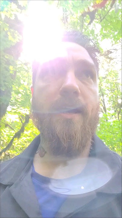 foraging-ginger-is-wild-ginger-edible-foraging-pnw-adventure