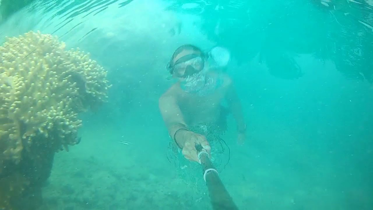 camera iphone 8 plus apk Diving Pulau Pramuka versi 1