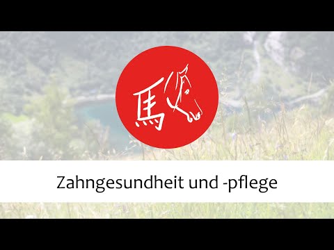 Video: Pet Talk: Haustierzahngesundheitsmonat