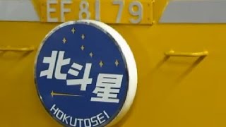 寝台特急 北斗星(EF81カシオペア色) 上野駅発車