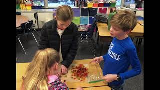 Mrs George's 5th Grade STEM CLUB