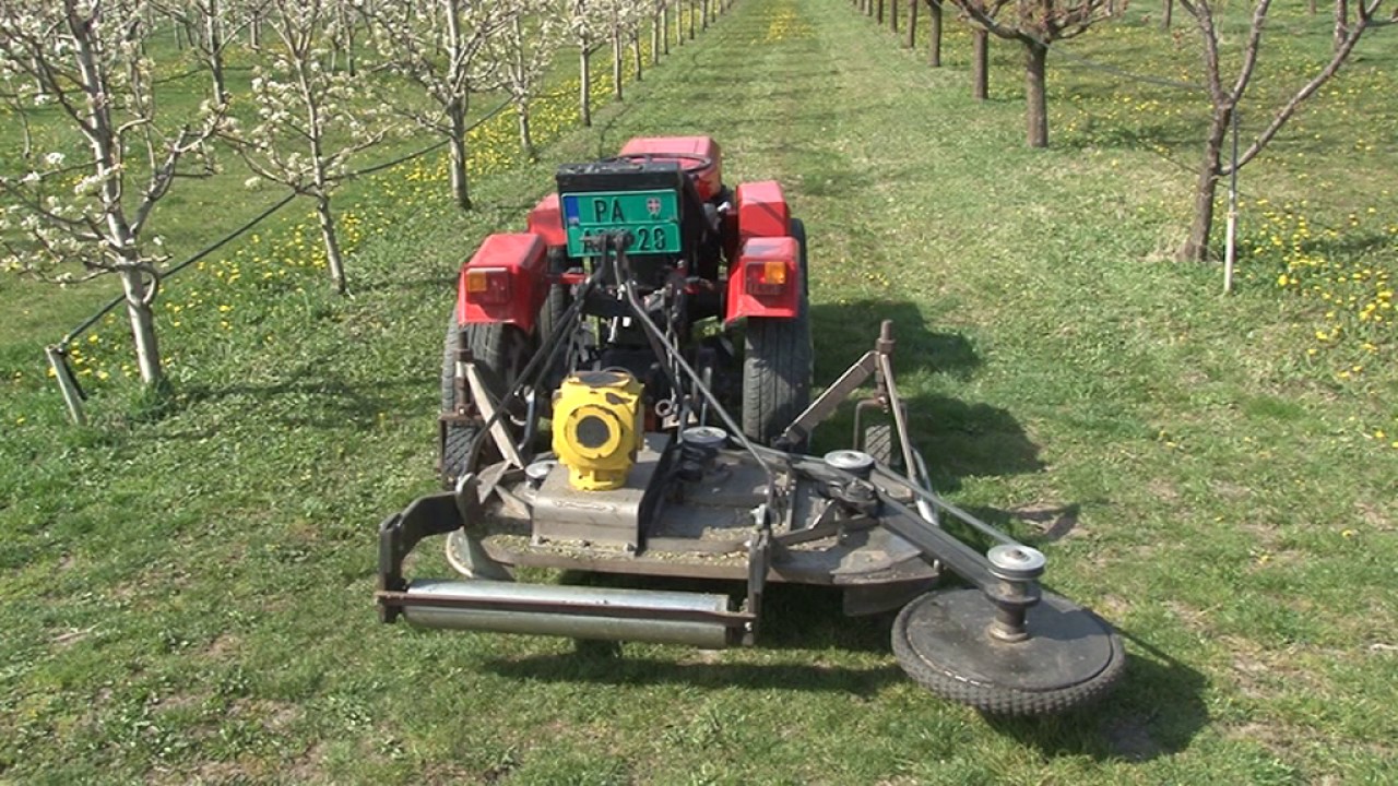 Tv Pančevo - Inovacijama do boljeg roda u voćnjaku