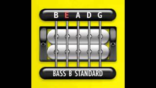 Perfect Guitar Tuner Bass 5 String B Standard B E A D G