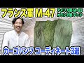 【軍物カーゴパンツコーディネート3選】フランス軍 M-47、アメリカ軍 M-65、オランダ軍 デッドストック