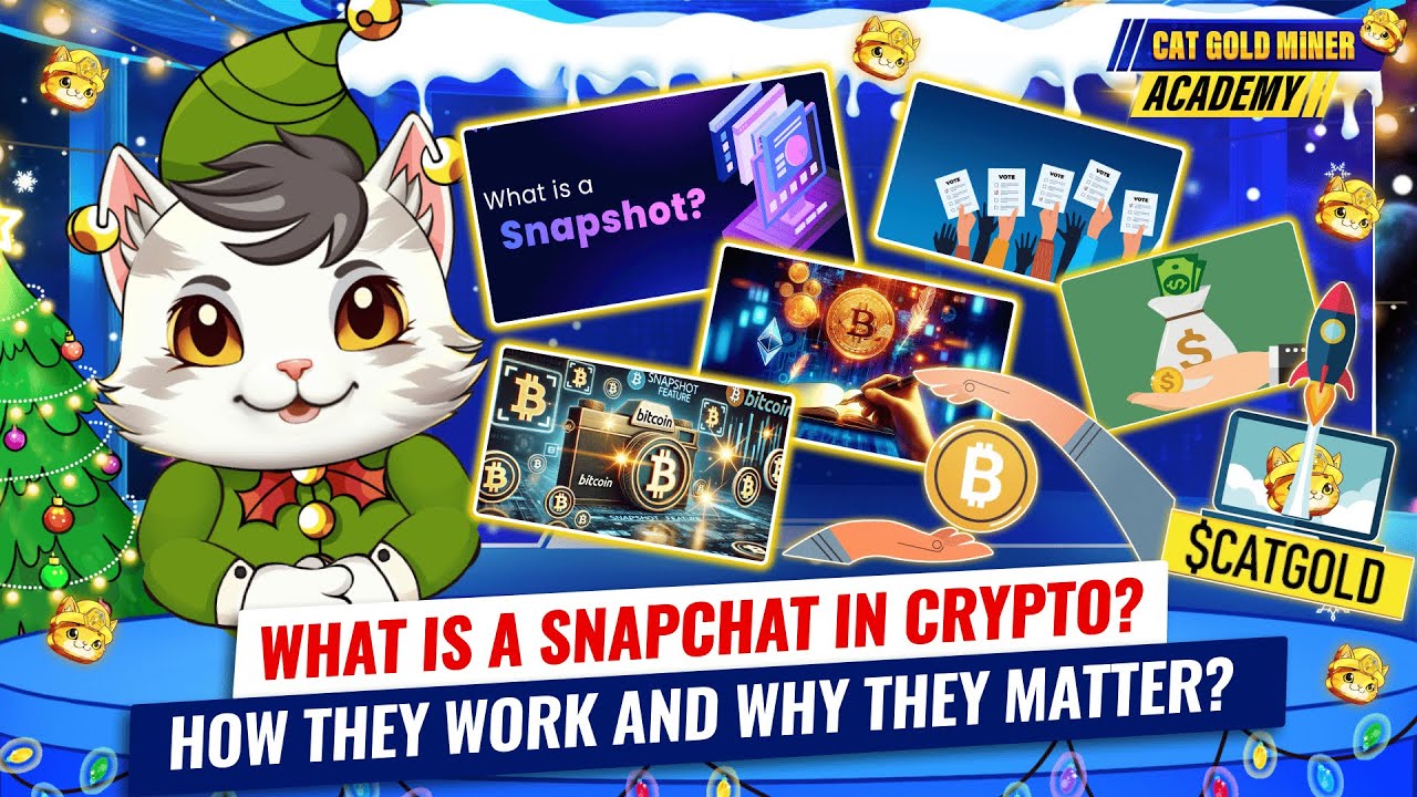 What is a Snapshot in Crypto? How They Work and Why They Matter? ⚡️CAT GOLD  MINER ACADEMY