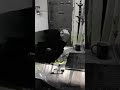 بتحس انك ضايع طالب سادس