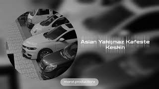 Aslan Yakişmaz Kafeste - Keskin