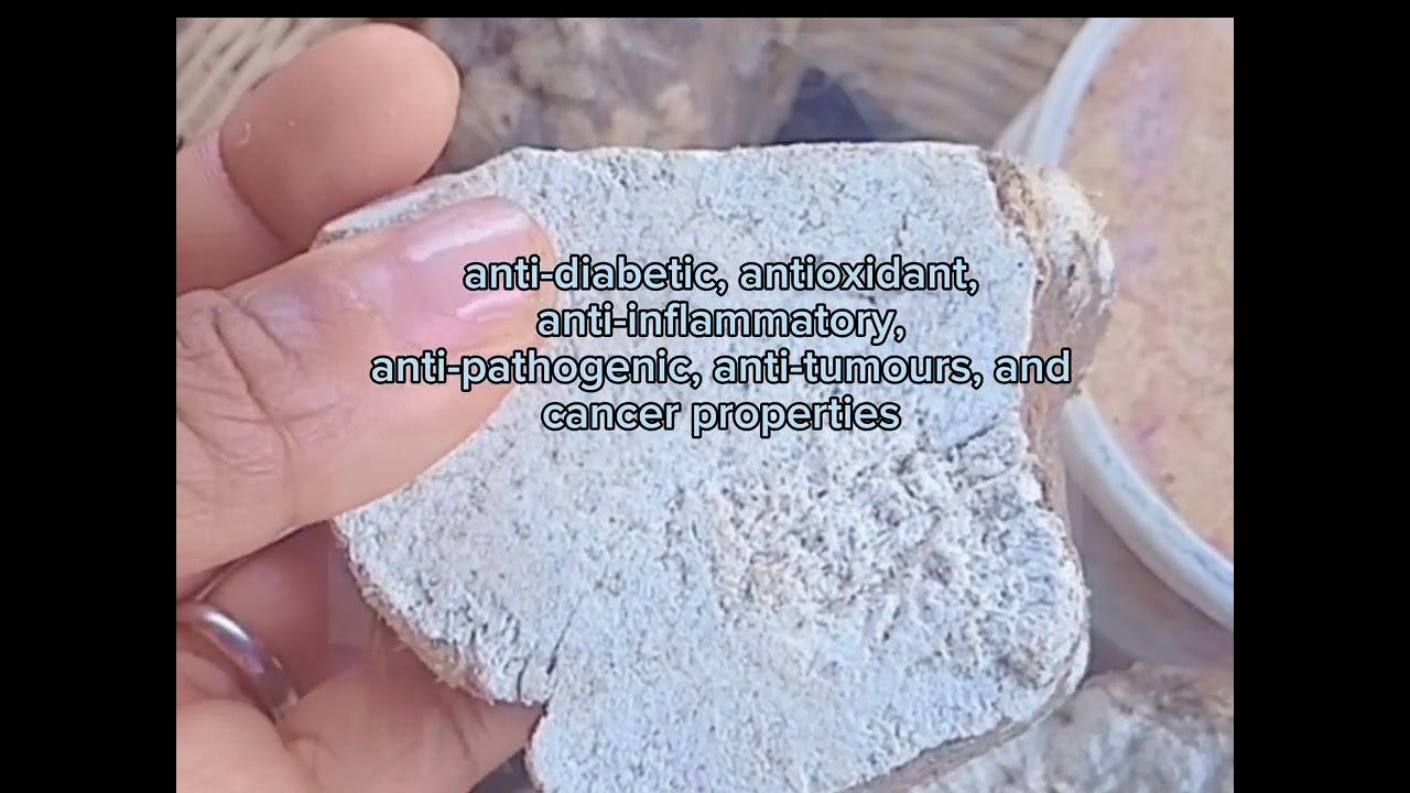 King tuber mushroom is used to treat malnutrition in children..