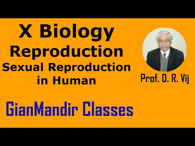 X Biology | Reproduction | Sexual Reproduction in Human by Manjit Ma'am