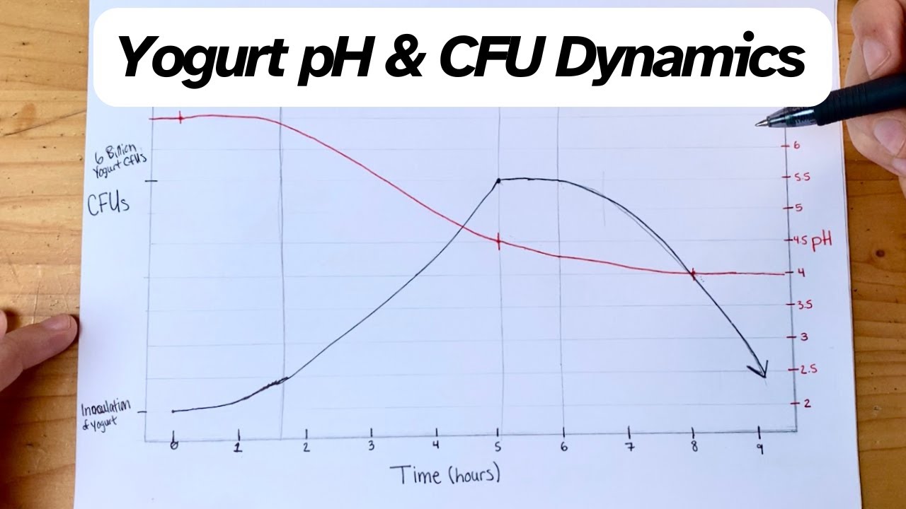 Yogurt pH & CFU Dynamics