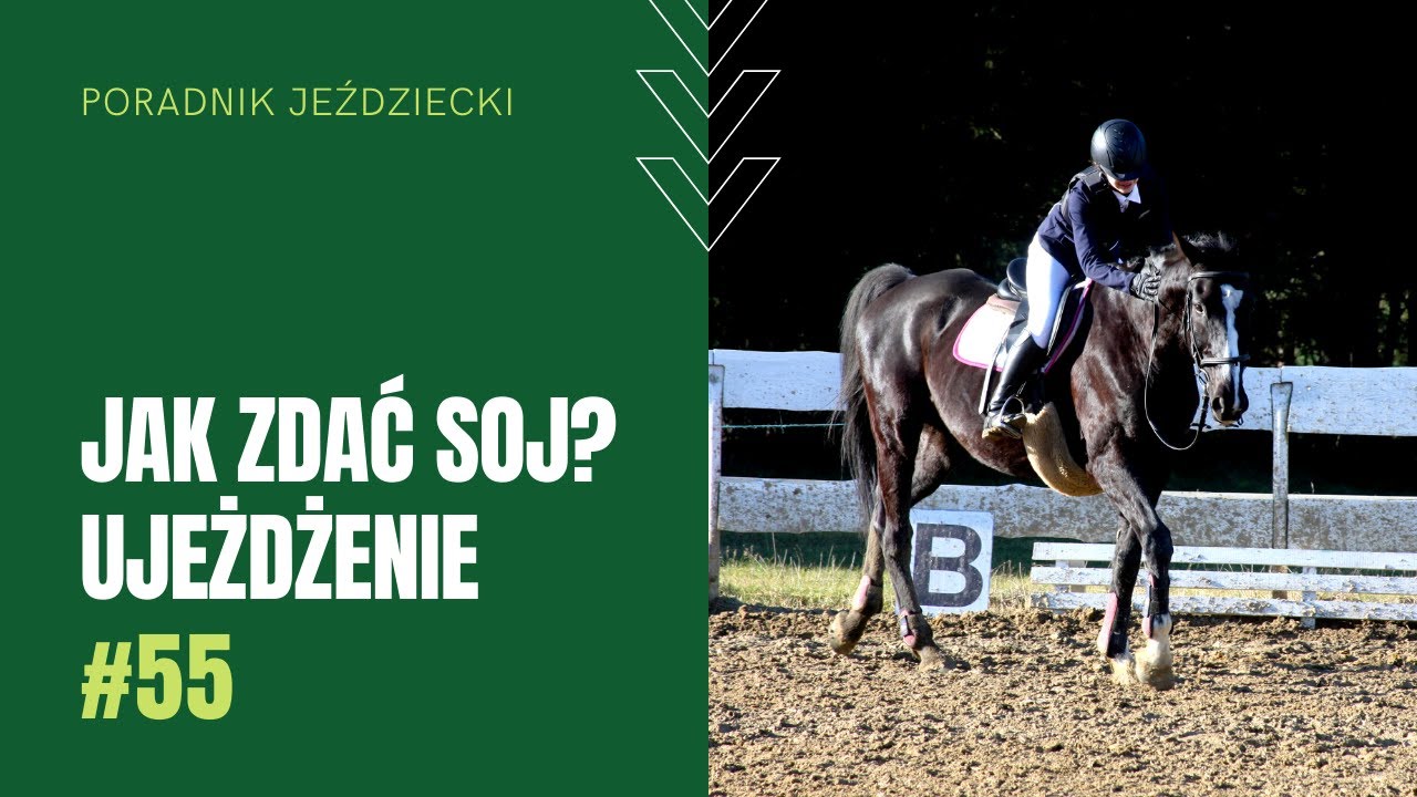 JAK ZDAĆ SOJ? Ujeżdżenie | Poradnik jeździecki #55