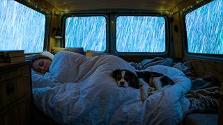 Dark Forest Rain Around a Warm Car with Soft Thunder and Quiet Sleep Sounds