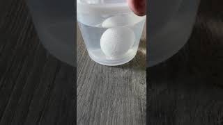 STEM with Miss Ashley:  The Disappearing Eggshell Experiment (Part 1)