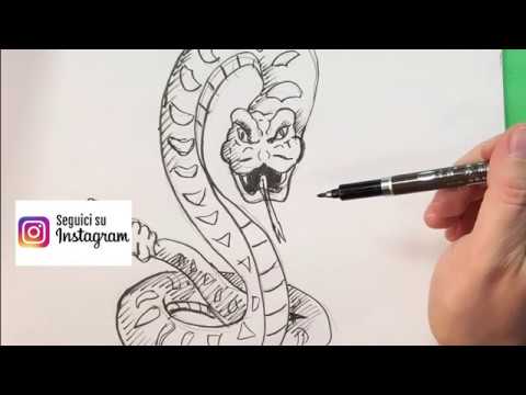 Video: Come Disegnare Un Serpente Con Una Matita