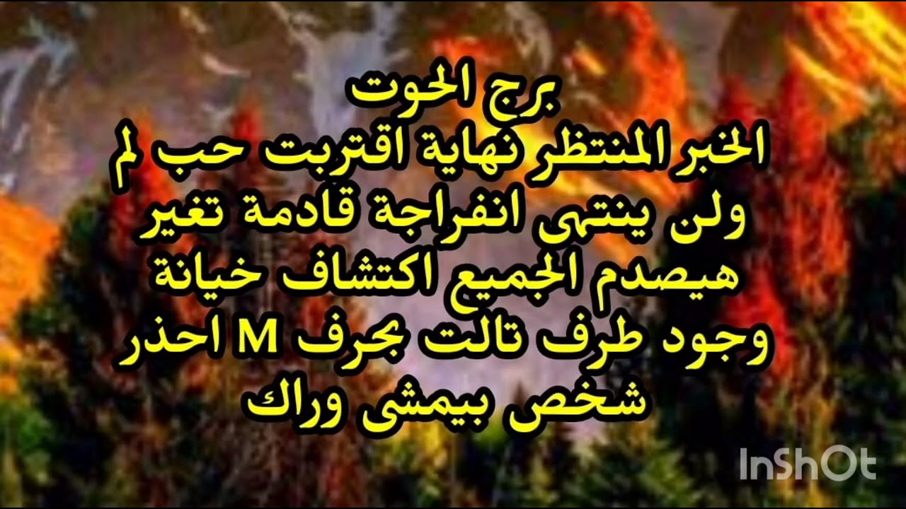 برج الحوت🥰 الخبر المنتظر نهاية اقتربت حب لم ولن ينتهى انفراجة قادمة تغير هيصدم الجميع اكتشاف خيانة 