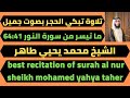 ما تيسر من سورة النور من الاية 41 الي اخر السورة محمد يحيي طاهر Best Recitation Of Surah Al Nur 