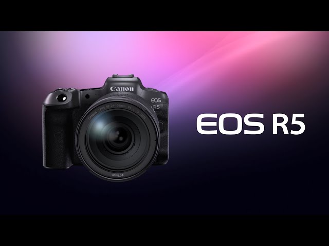 Re: [閒聊] EOS R5 R6規格