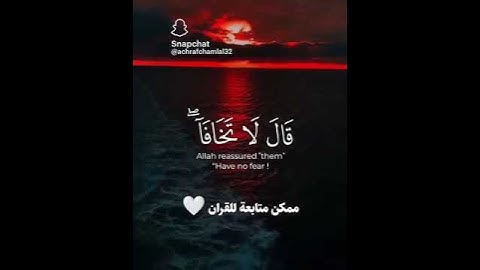 تلاوه خاشعه بصوت #القارئ_ياسر_الدوسري 🫀🤍 #اجر_لي_ولك #اكسبلور #قران_كريم #تلاوة_خاشعة