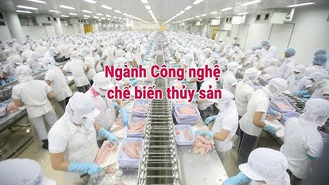 Ngành Công nghệ chế biến thủy sản là gì? Ra trường làm gì?