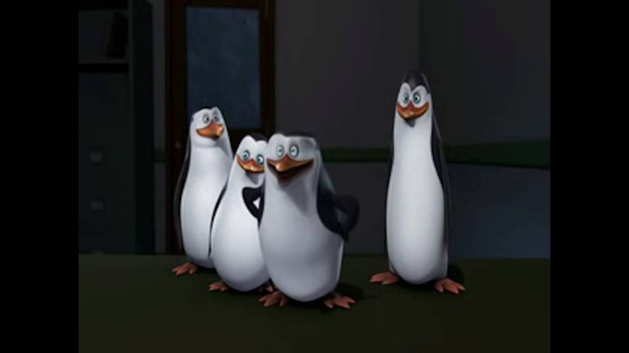 (Preview) Penguins Kyoto (RYTPMV) - (Preview) Penguins Kyoto (RYTPMV)
