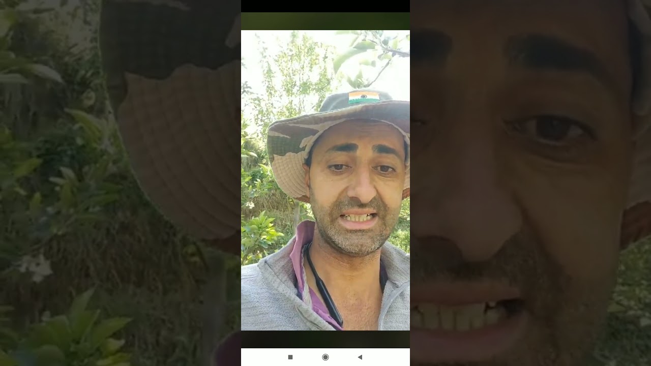 Petal fall spray shadule dimple panjta ji