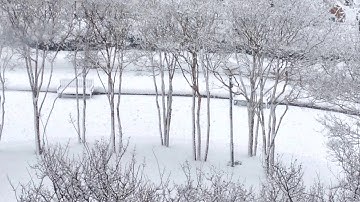 Download Lu Hu Sound Of Falling Snow Mp3 Free And Mp4