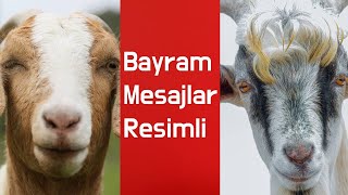 Kurban Bayramı Mesajları Resimli - Bayram Mesajları