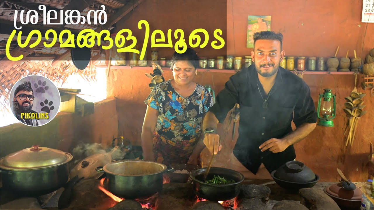 ശ്രീലങ്കൻ ഗ്രാമങ്ങളിലൂടെ | Sigiriya and other tourist places of Sri Lanka 4K | Night trekking.