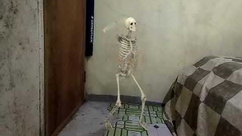 FxGuru Video-dancing skeleton