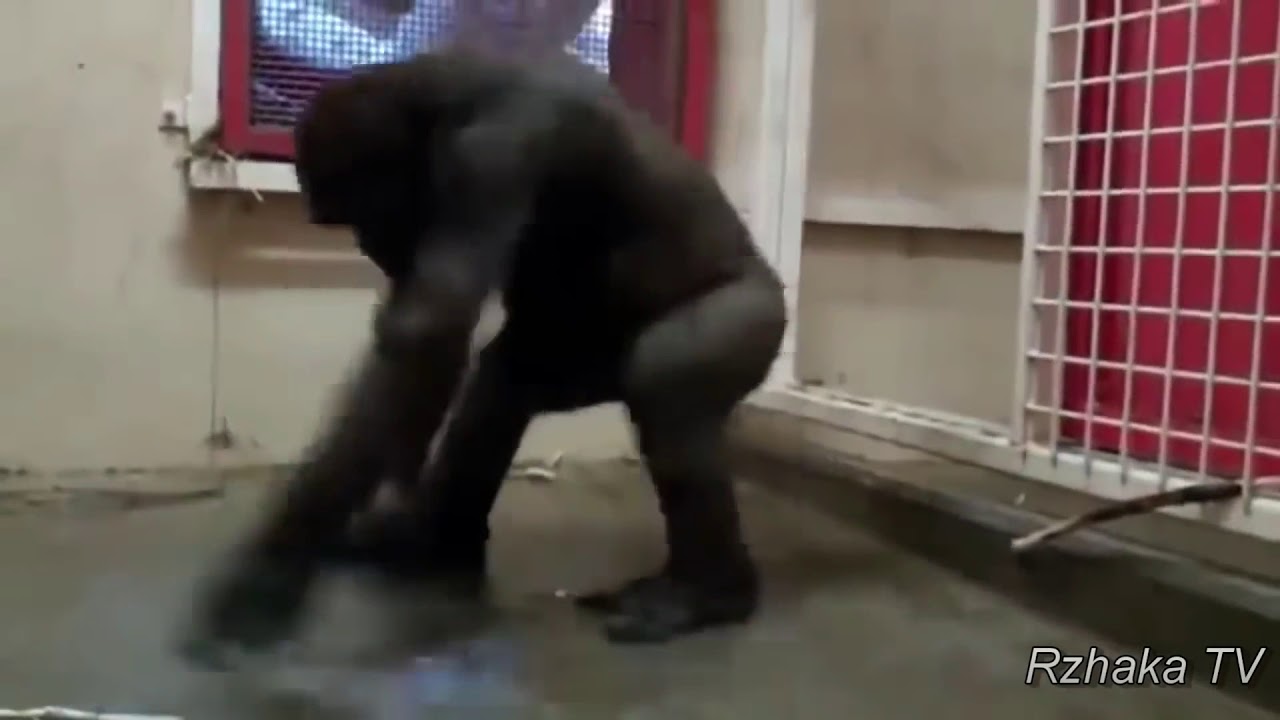 Martiny - Нарколыга (BY koba44,Frayz,Storm) - YouTube