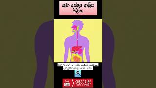 කුඩා අන්ත්‍රයේ පිලිකා ඇති වෙන්නෙ කොහොමද | #intestine | #cancer | #medical | #disease | #sinhala