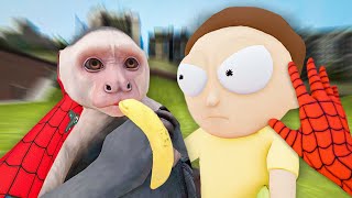 Maymun ve Morty Kavga Ediyor
