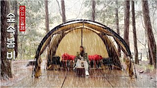 Spring rain in the forest ☔·CAMPING