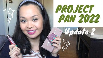 Project Pan 2022 Update 2! March update.