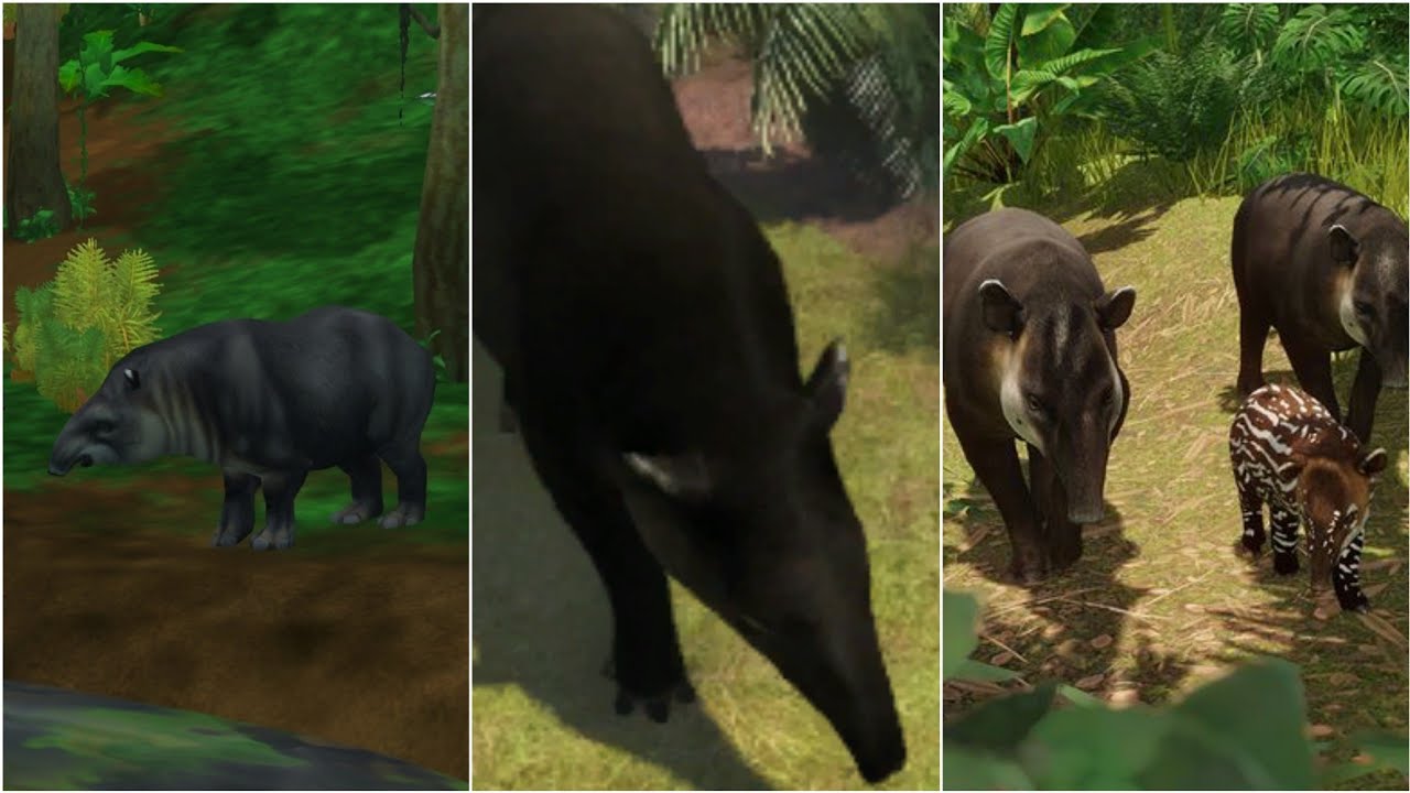 Baird's Tapir: Comparison In 3 Games