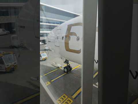 ممر السعادة من مطار الجزائر الجزائر دبي هواري بومدين سفر    