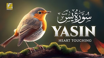Relaxing Quran For Deep Sleep ♡ FALL ASLEEP IMMEDIATELY, Surah Yasin (Yaseen) سورة يس | Zikrullah TV