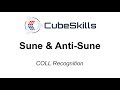 COLL Recognition - Sune & Anti-Sune Cases