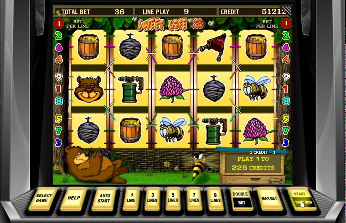 Игровой автомат медведь и пчела игровые автоматы бесплатно в торренте