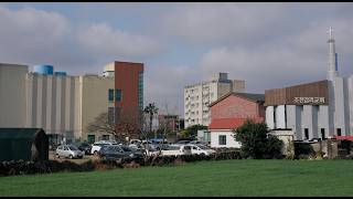 아라오 ARAO Color Profile | Nikon ZF screenshot 5