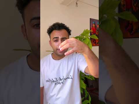 اغنية محمد رمضان الجديدة انا بطلع انتا تنزل اكسبلور الشعب الصيني ماله حل