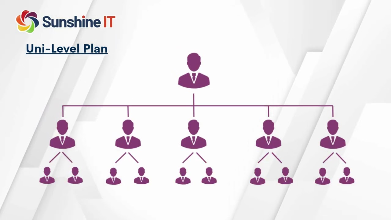 Professional MLM Software Development